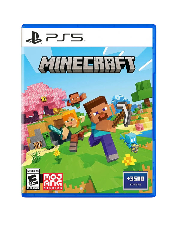 PS5 Minecraft